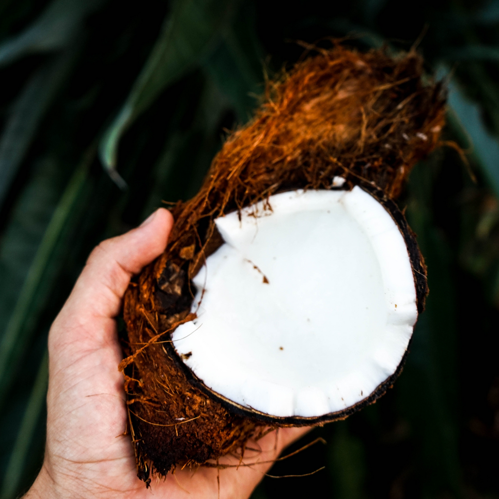 Why Coconut Wax?