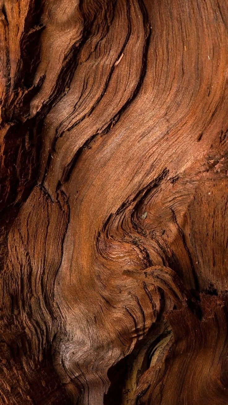 CEDARWOOD