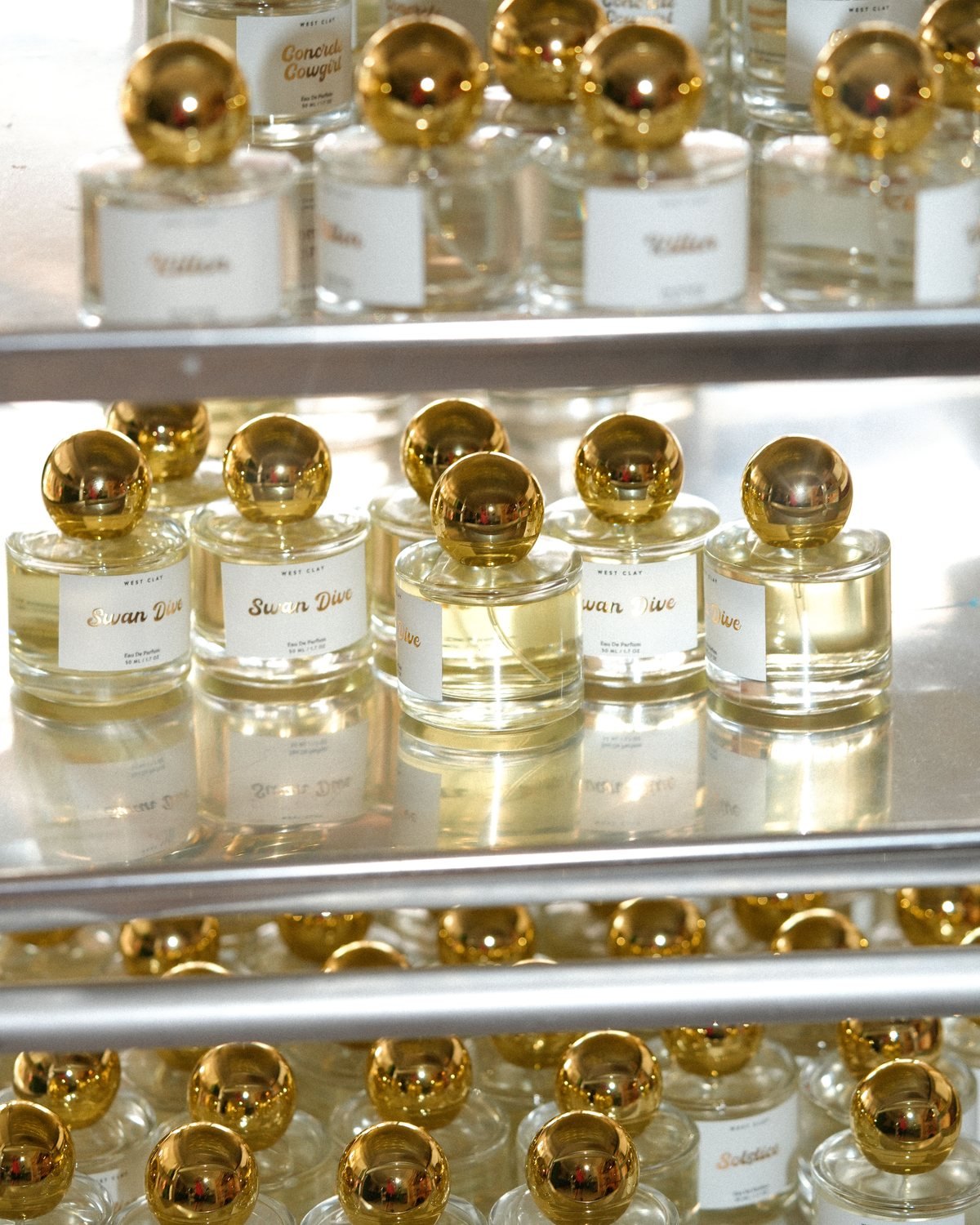 Rows of large West Clay perfume bottles on studio shelves