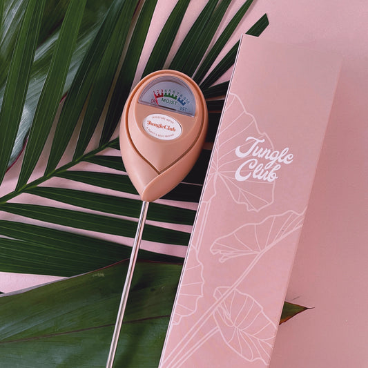 Pink Moisture Meter