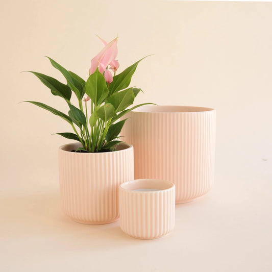 Lucy Pot in Ballerina Pink