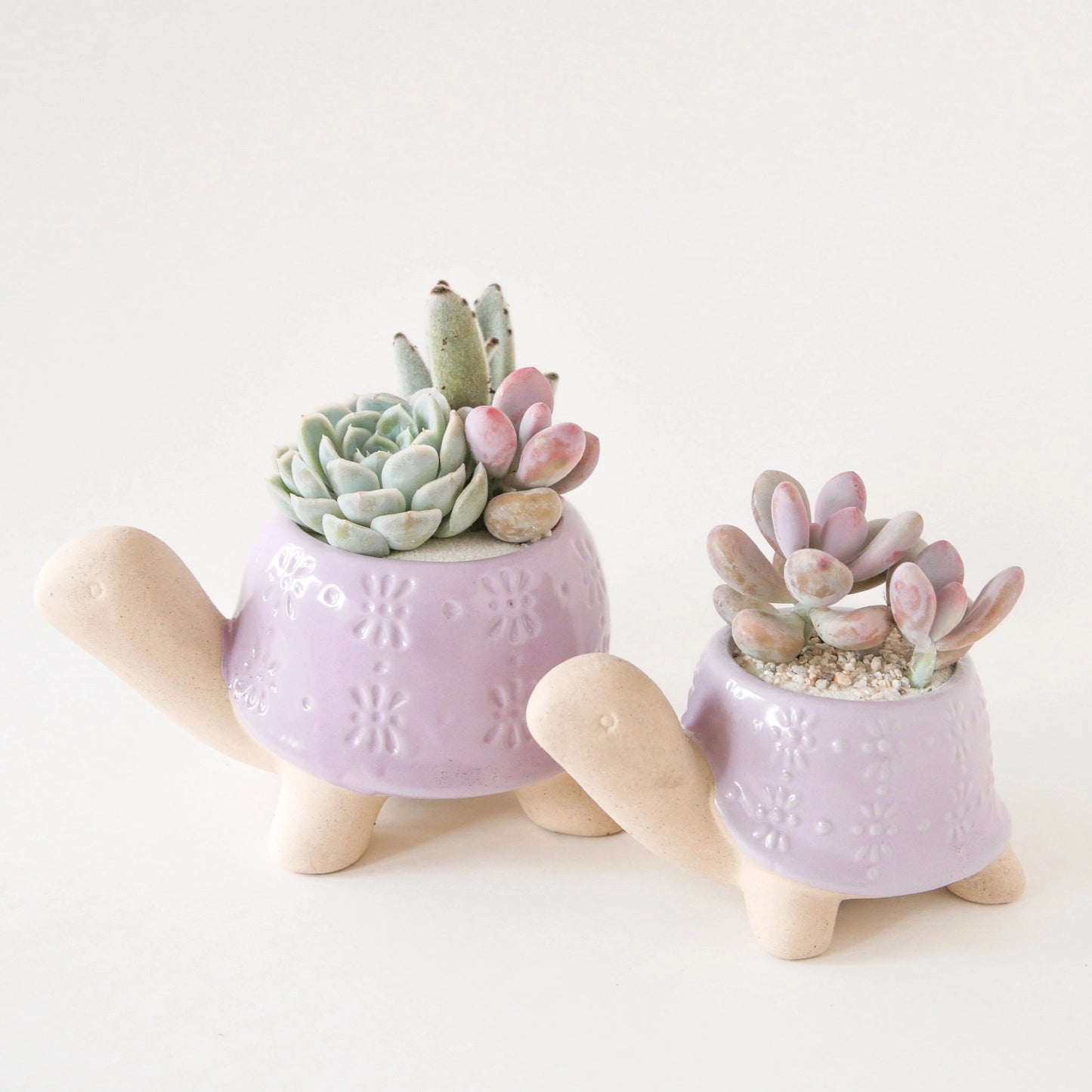 Lilac Turtle Planter