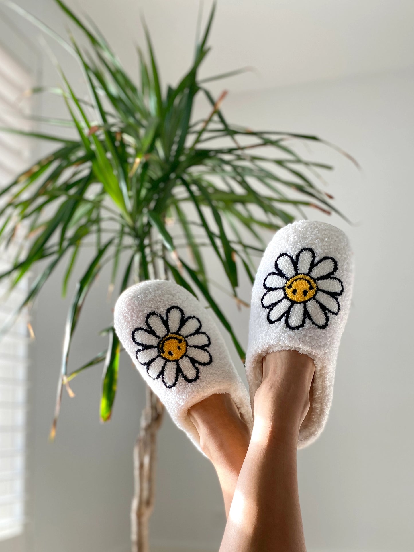 Cozy Slippers