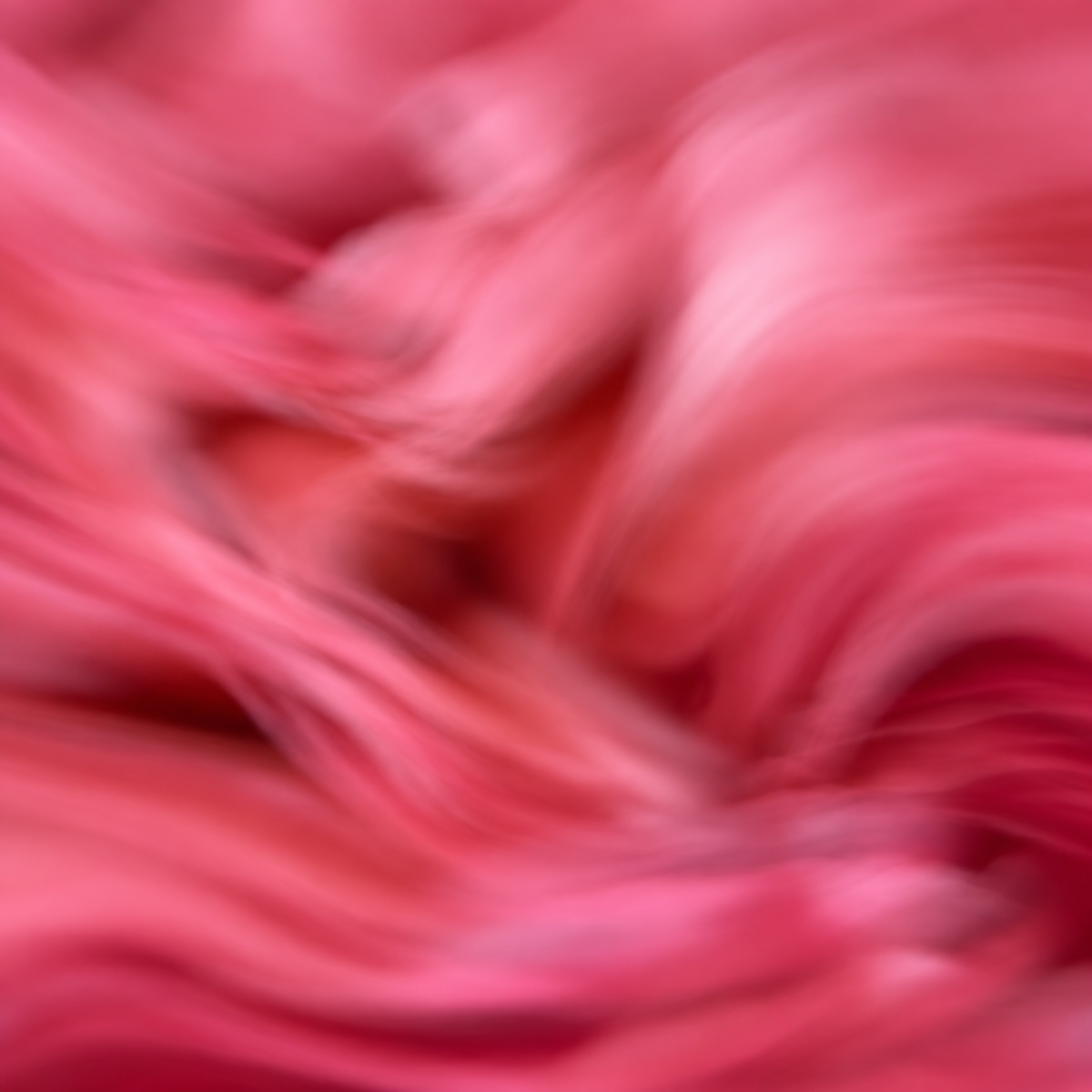 PINK GUAVA