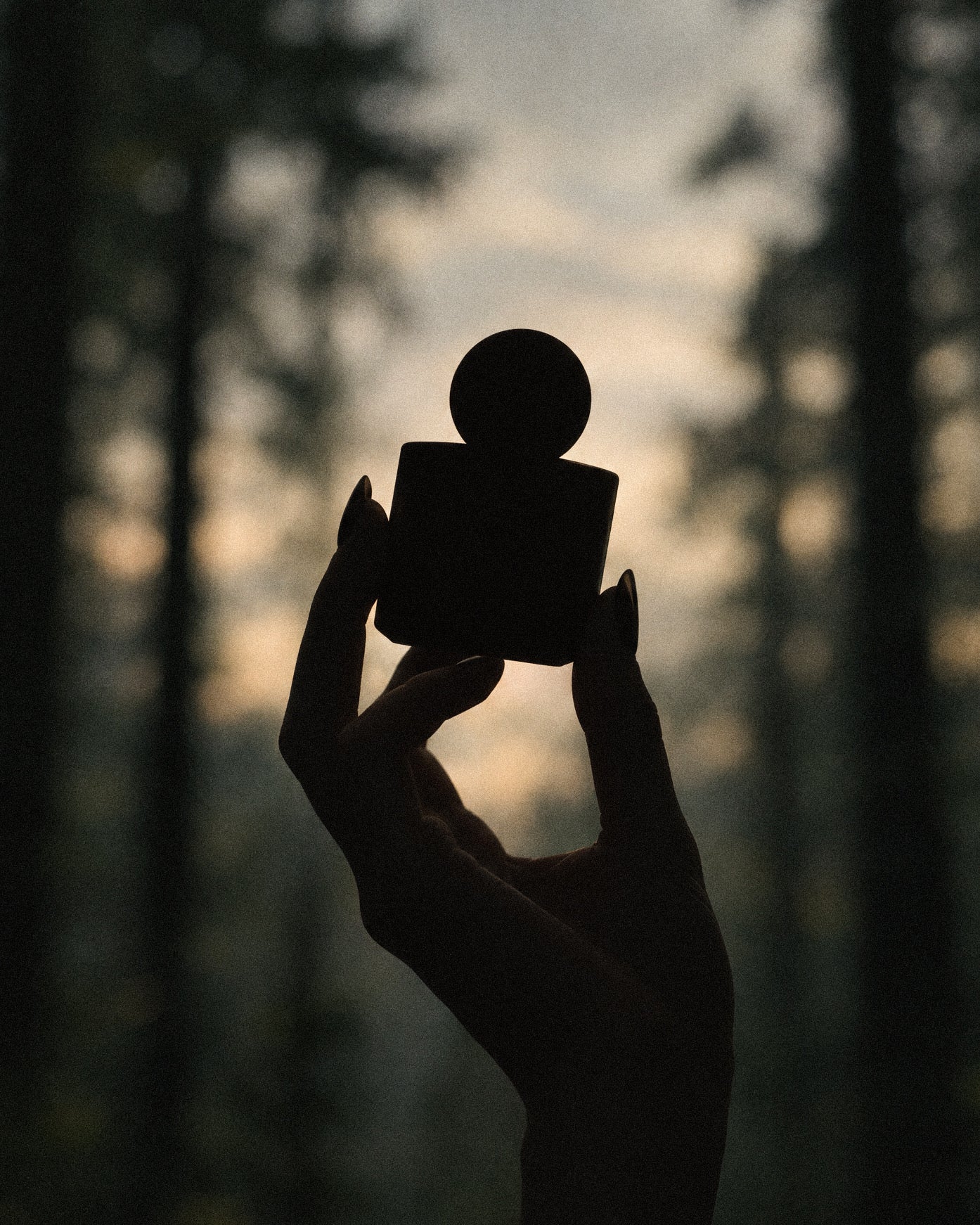 A perfume bottle held in silhouette against a softly lit woodland